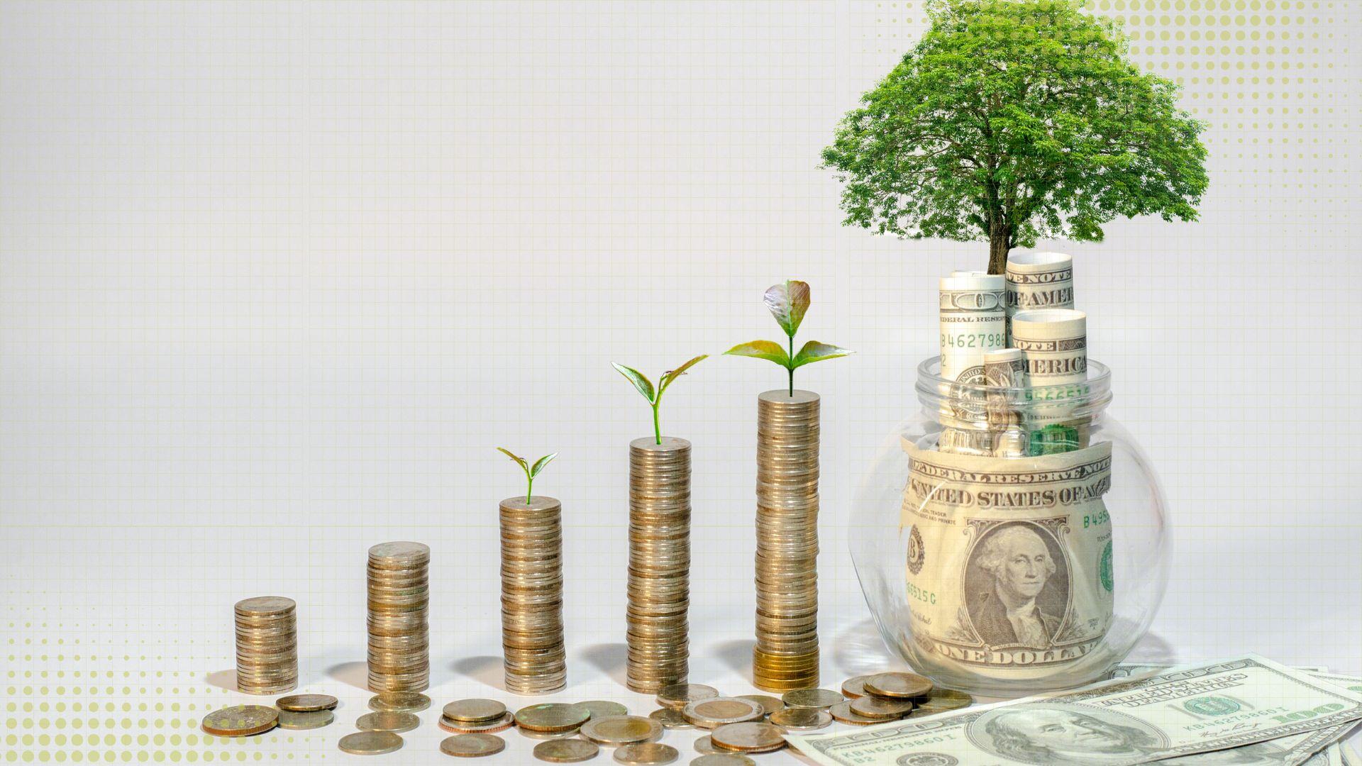 Business growth analytics